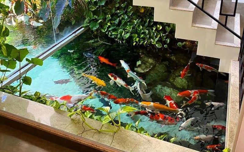 bể cá koi mini trong nhà