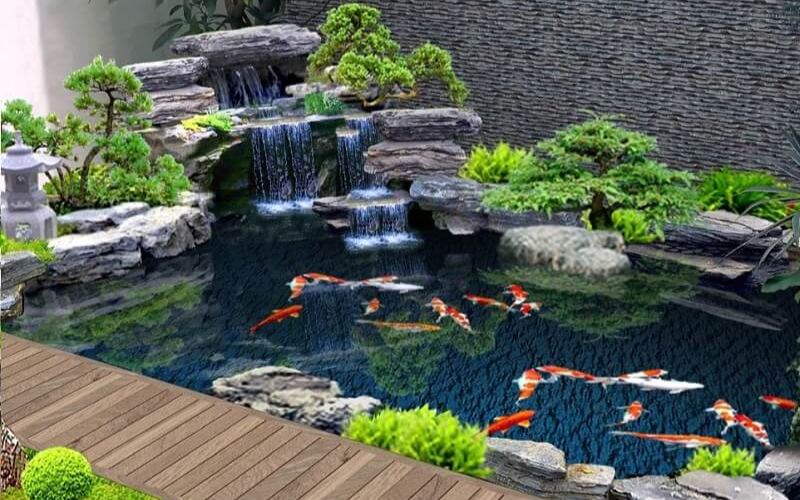 be-ca-koi