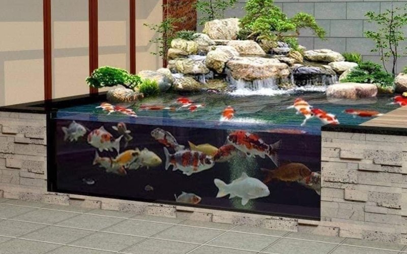 Các loại hồ cá koi mini bằng kính