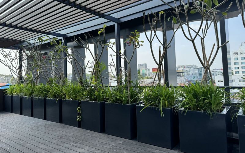 Chậu Composite là gì