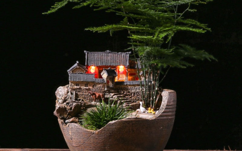 Chậu tiểu cảnh mini là gì