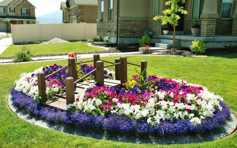 đặc điểm của bồn hoa đẹp