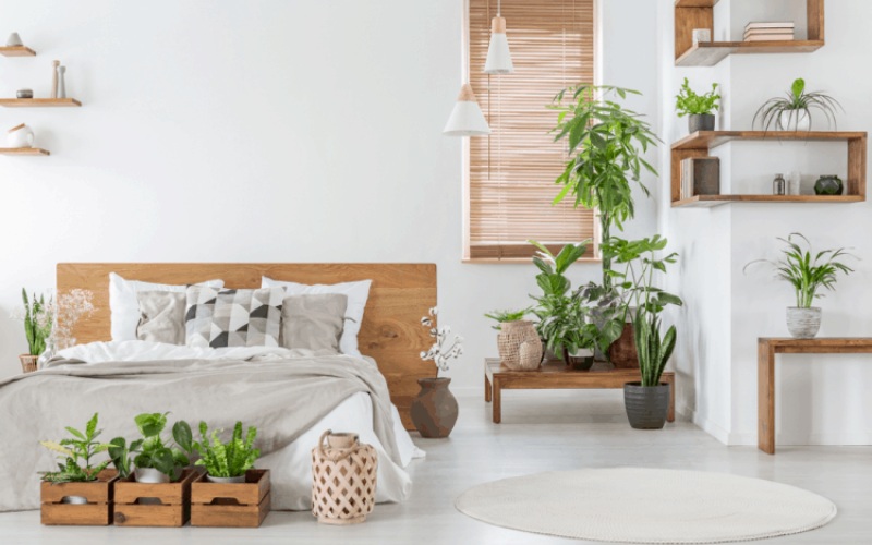 Decor cây xanh phòng ngủ
