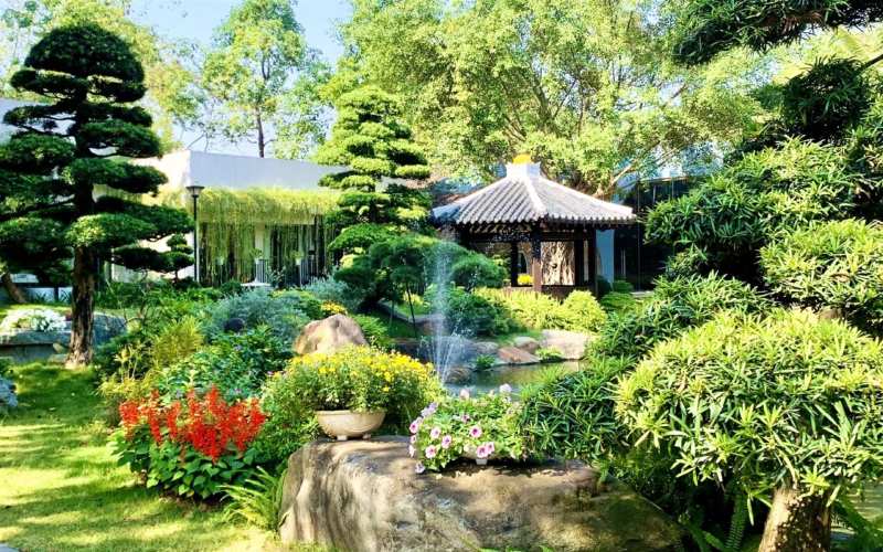 hoa làm đẹp cảnh quan