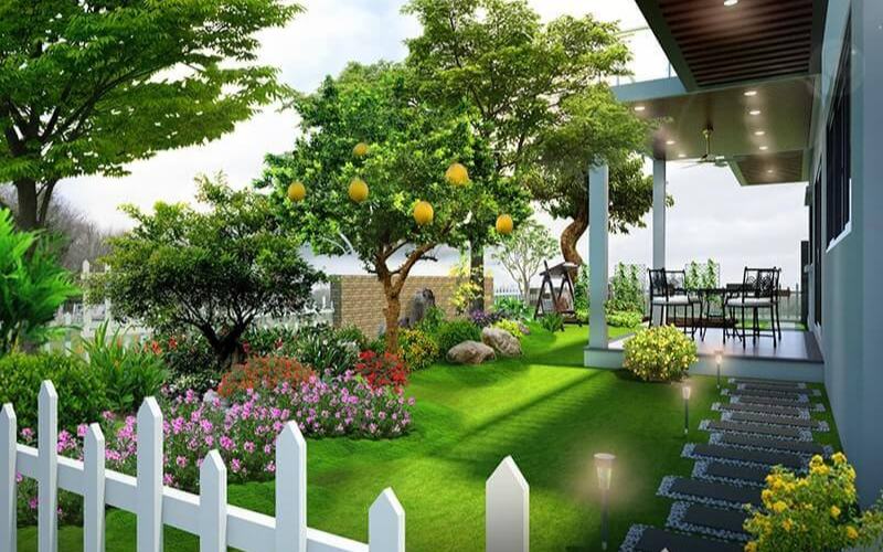 Mẹo nhỏ để sân vườn luôn xanh