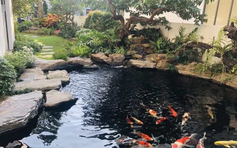 Sân vườn kết hợp hồ cá koi