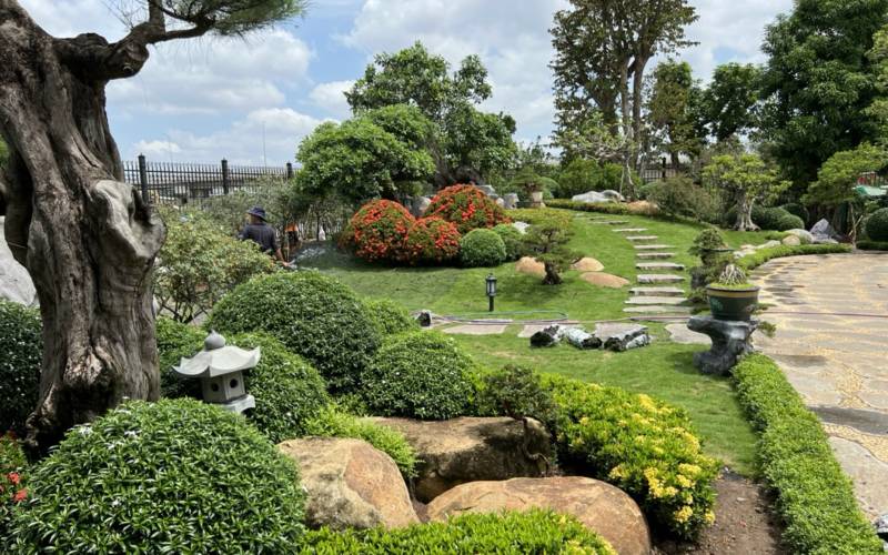 thiết kế sân vườn cây cảnh đẹp