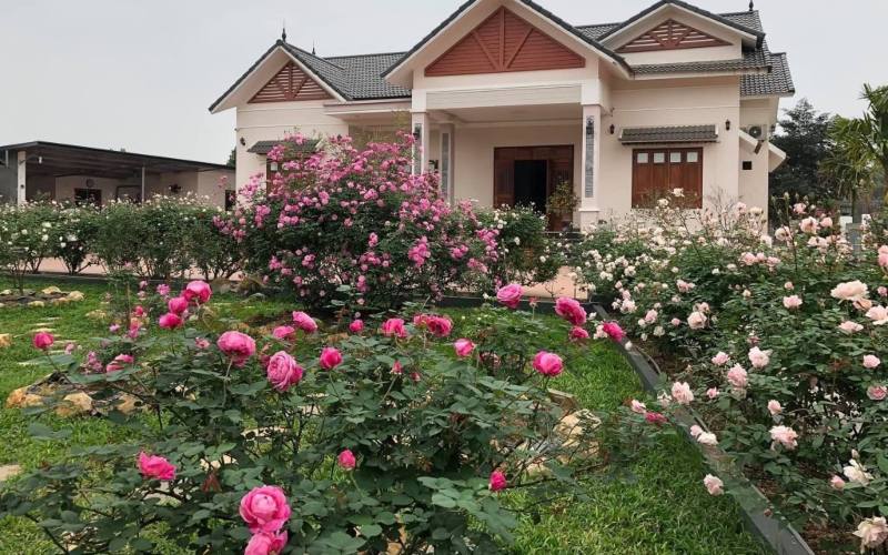 vườn hoa trước nhà