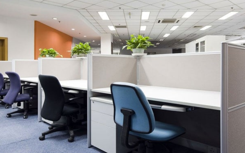 Treo cây xanh nhỏ trên vách ngăn
